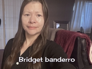 Bridget_banderro