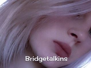 Bridgetalkins