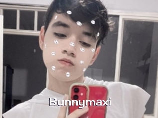 Bunnymaxi