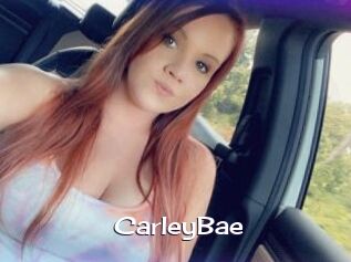 CarleyBae