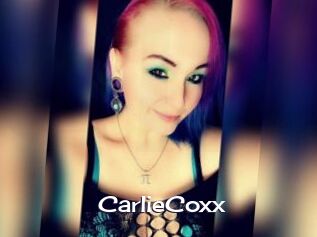 CarlieCoxx