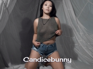 Candicebunny