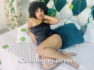 Cataleyaguerrero