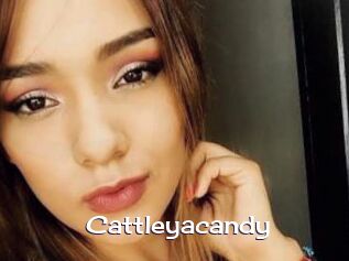 cattleyacandy Click here to exit