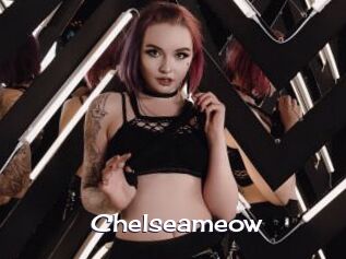 chelseameow Click here to exit