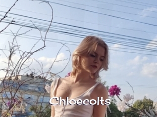 Chloecolts