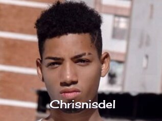 Chrisnisdel