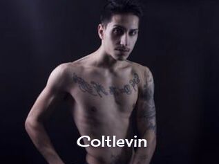 Coltlevin