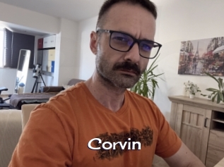 Corvin