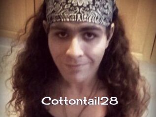 Cottontail28