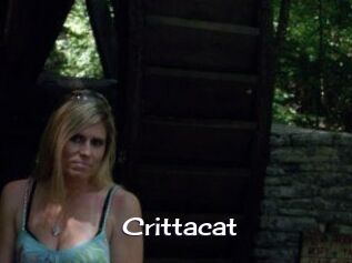 Crittacat