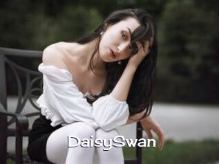 DaisySwan