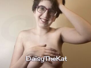 DaisyTheKat
