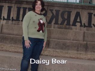Daisy_Bear