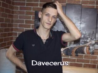 Davecerus