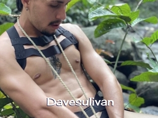 Davesulivan