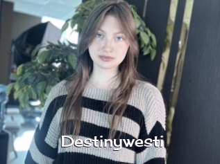 Destinywesti