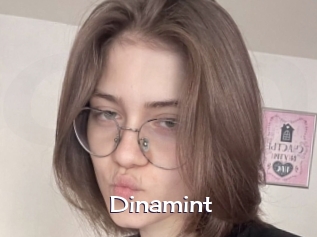 Dinamint