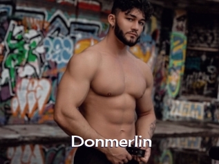 Donmerlin