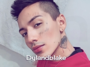 Dylandblake