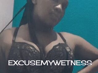 EXCUSEMYWETNESS
