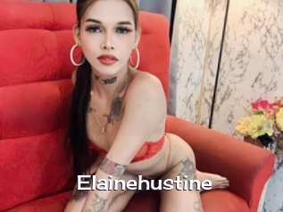 Elainehustine