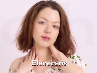 Elenecaris