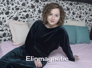 Elinmagnetic