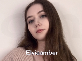 Elviaamber