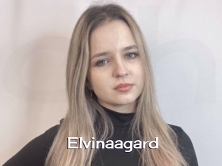 Elvinaagard