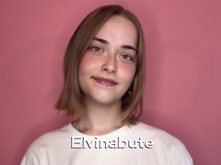 Elvinabute