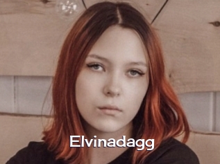 Elvinadagg