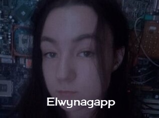 Elwynagapp