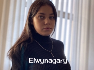 Elwynagary