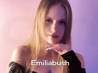 Emiliabush