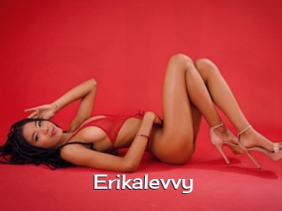 Erikalevvy