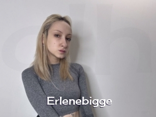 Erlenebigge