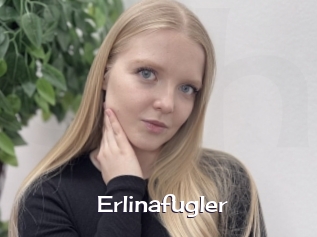 Erlinafugler