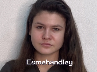 Esmehandley