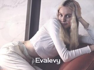 Evalevy