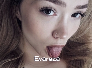 evareza Click here to exit