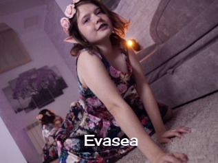 Evasea