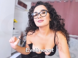 Evelinecat
