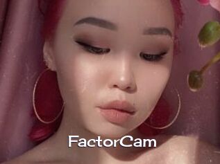 FactorCam