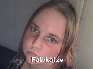 Falbkatze
