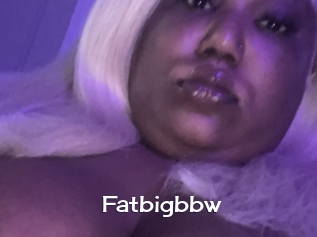 Fatbigbbw