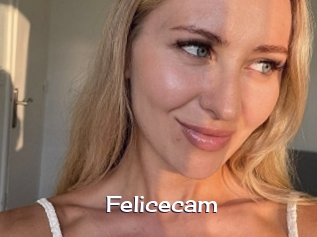 Felicecam