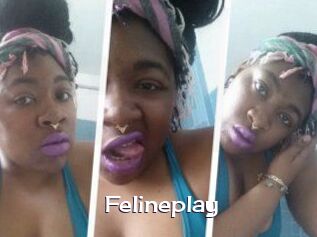 Felineplay