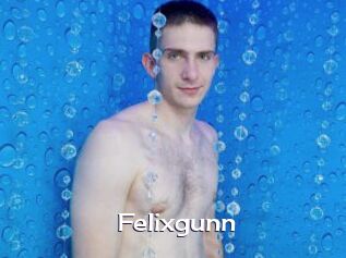 Felixgunn