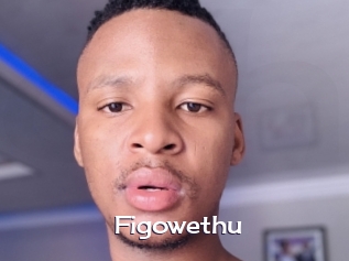 Figowethu